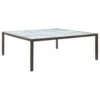 VidaXL Tuintafel 200x200x74 Cm Poly Rattan Bruin