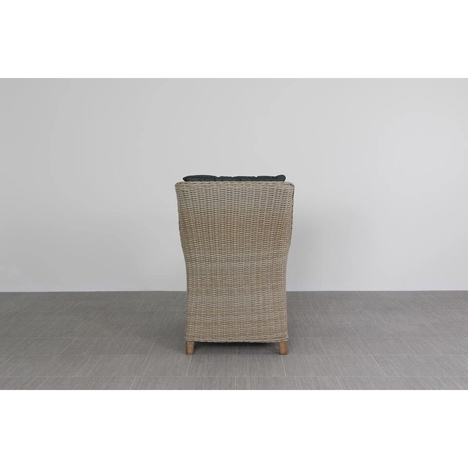 VDG King Dining Tuinstoel - Dessert 3 VDG King Dining Tuinstoel - Dessert - Afbeelding 3