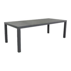 VDG President Tuintafel 220 X 100 Cm