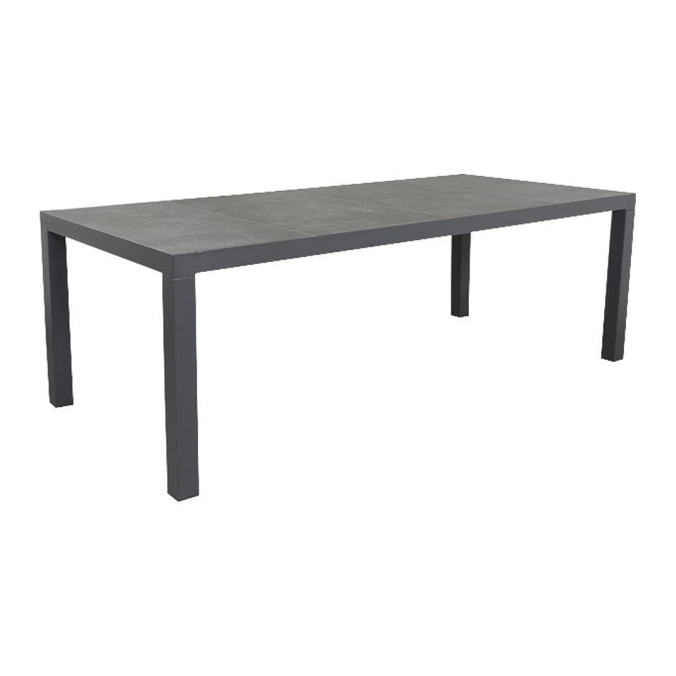 VDG President Tuintafel 220 X 100 Cm 1 VDG President Tuintafel 220 X 100 Cm