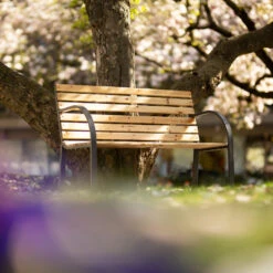 Tectake - Tuinbank - 123x 64x 82 Cm - Hout -Beliani Winkel 1000078026 0102