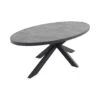 VDG Silva Ovale Tuintafel - 240 X 115 Cm