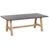 TONNARE - Tuintafel - Licht Hout - 200 X 100 Cm - Beton