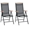 VidaXL - Tuinstoelen - Zwart - Aluminium En Textileen - 2 Stuks - Inklapbaar