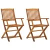 VidaXL - Tuinstoelen - Bruin - Acaciahout - 2 Stuks - Inklapbaar