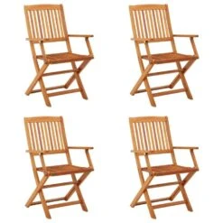 VidaXL - Tuinstoelen - Bruin - Eucalyptushout - 4 Stuks - Inklapbaar