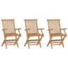 VidaXL - Tuinstoelen - 3 Stuks - Massief Teakhout - Inklapbaar