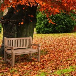 CLP Teakbank Teakbank 120 Cm Mit Abdeckhaube 120 Cm -Beliani Winkel 5a9f3ca4983f4b24939128a99a073052