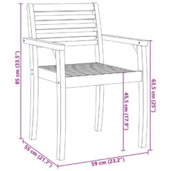 VidaXL - Tuinstoelen - Bruin - Acaciahout - 2 Stuks - 59x55x85 Cm -Beliani Winkel 69cfefb8d6a24ce4963542453aed2ab3