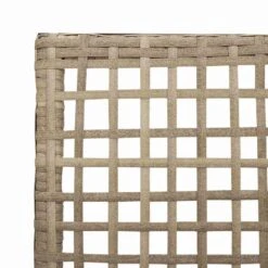 VidaXL - Tuinstoel - Beige - Poly Rattan - 53 X 60 X 85cm -Beliani Winkel 89de3a0661c2416d9a1a17e3b4cf5323